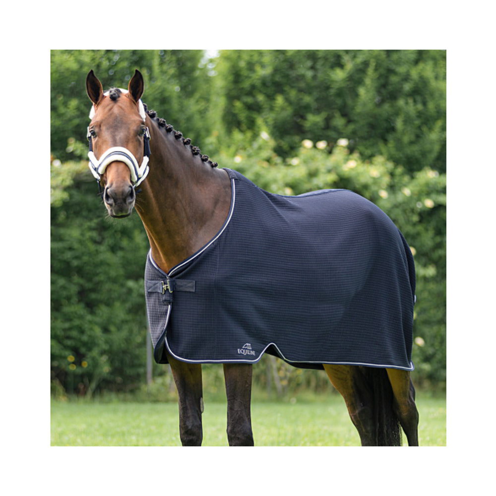EquilineClimate control loimi